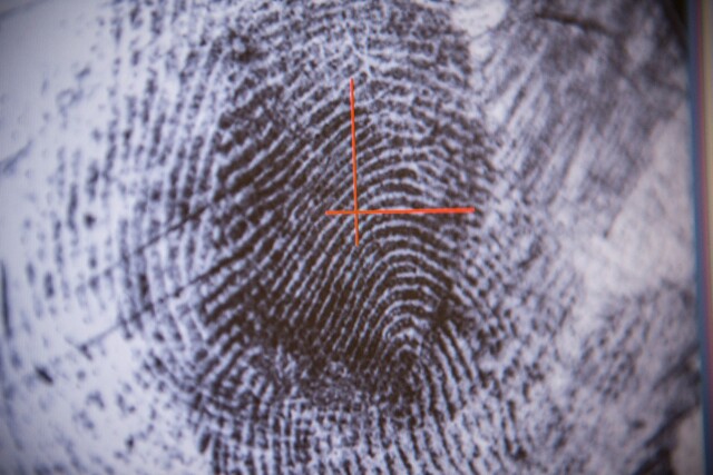 Fingerprint