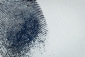 Fingerprint